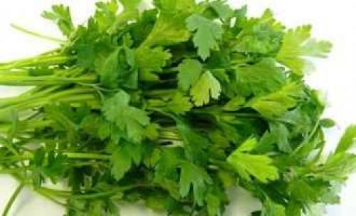 Помидоры дольками с луком и петрушкой на зиму. Рецепт помидоров дольками с луком — пошаговый рецепт с фото 32 Помидоры дольками с луком и петрушкой на зиму. Рецепт помидоров дольками с луком — пошаговый рецепт с фото 32