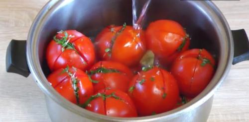 Помидоры с петрушкой и чесноком закуска. Малосольные помидоры с чесноком и зеленью — 7 рецептов быстрой и вкусной закуски