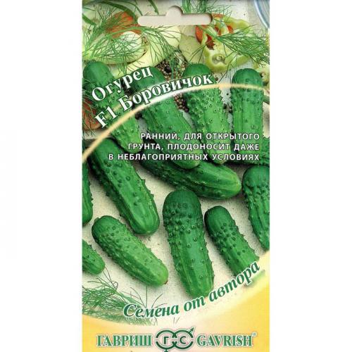 Сорт засолочный огурец и другие сорта на засолку. Огурцы для засолки –, какие они 17 Сорт засолочный огурец и другие сорта на засолку. Огурцы для засолки –, какие они 17