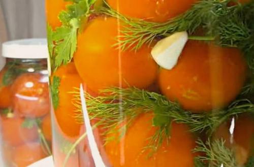 Помидоры с петрушкой и чесноком закуска. Малосольные помидоры с чесноком и зеленью быстрого приготовления