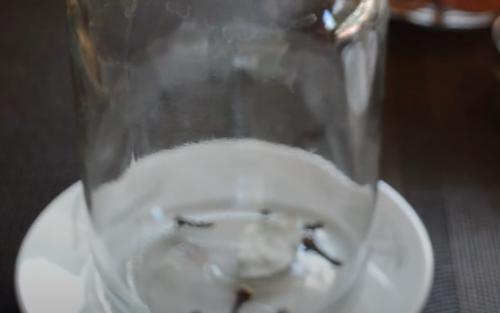 Резаные помидоры с луком и растительным маслом на зиму. Помидоры дольками с луком и маслом на зиму – самый вкусный рецепт (на 1 литровую банку)