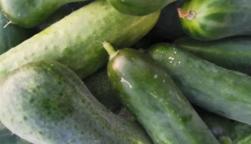 Что делать, если банка с огурцами запенилась: советы и рекомендации 04