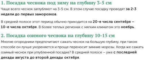Посадка чеснока в октябре. Когда и как сажать чеснок под зиму осенью в 2021 году