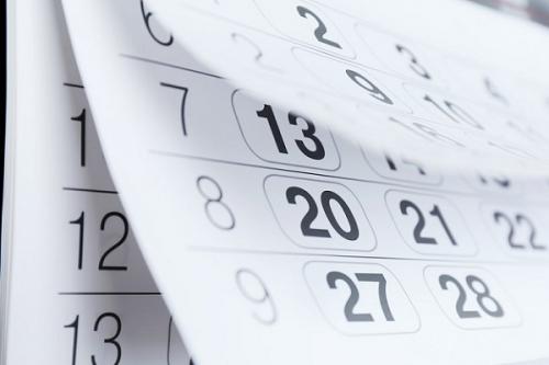 Выращивание чеснока в открытом грунте. Чеснок: выращивание и уход