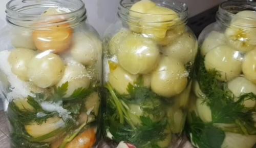 Маринованные зеленые помидоры целиком. Маринованные зелёные помидоры на зиму — 12 очень вкусных рецептов, пальчики оближешь