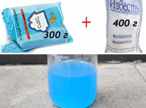 Чем обработать сад перед зимой. Обработка сада перед зимой: чем опрыскать от всех болезней