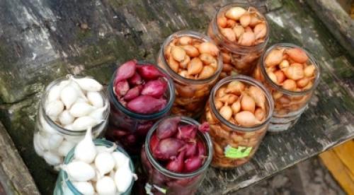 Голландский лук на зиму. Топ-11 лучших сортов лука-севка голландской селекции и их описание