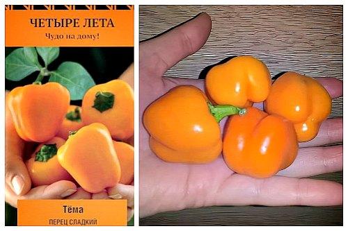 Комнатный перец цветет, но не дает плоды. Популярные сорта перцев для выращивания в доме