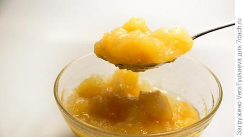 Яблочное пюре после соковарки. Яблочное пюре - еще один вариант приготовления