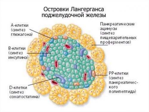 Первые признаки рака желудка. Первые признаки рака 05 Первые признаки рака желудка. Первые признаки рака 05