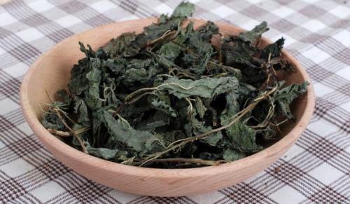 Когда сажать мелиссу в открытый грунт. Чудодейственная мелисса: особенности посадки и секреты ухода