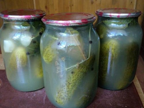 Можно ли использовать оставшиеся банки с огурцами после взрыва одной из них. Банка с огурцами взорвалась: можно ли есть такие овощи