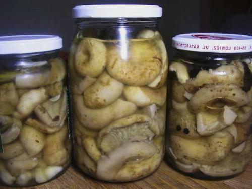 Как изменить рецепт маринада, чтобы грузди не были горькими. Маринованные грузди на зиму