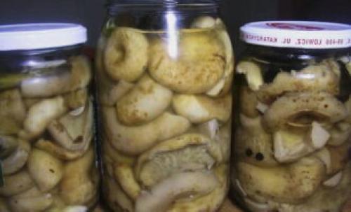 Как изменить рецепт маринада, чтобы грузди не были горькими. Маринованные грузди на зиму