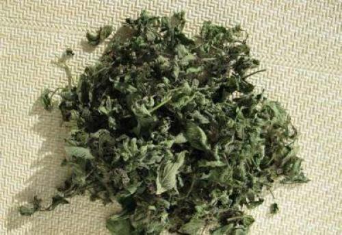 Как Сушить Мелиссу в сушилке. Когда Сушить Мелиссу На Зиму Для Чая — детально о чае