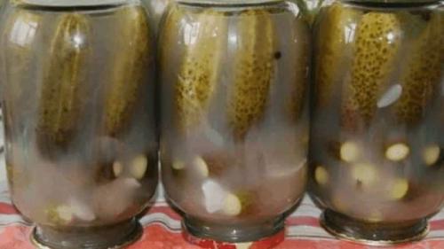 Какие ошибки в рецептуре могут привести к помутнению банок с огурцами. Что делать, если помутнели огурцы в банке: как исправить ошибки и предотвратить их в следующих заготовках