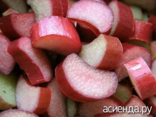 Ревень, как хранить. Как правильно хранить ревень