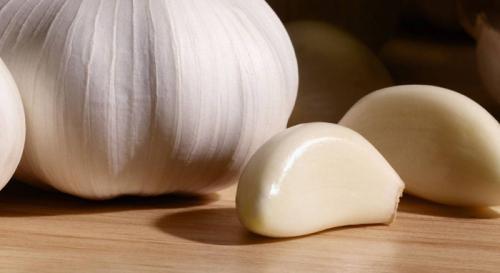 Виды чеснока. Сорта чеснока — 45 сортов 2022 года