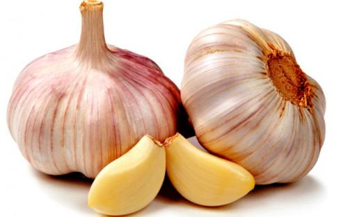 Виды чеснока. Сорта чеснока — 45 сортов 2022 года