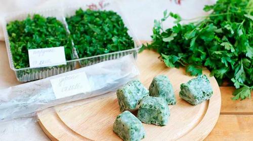 Заморозить укроп кубиками. Способы заморозки укропа