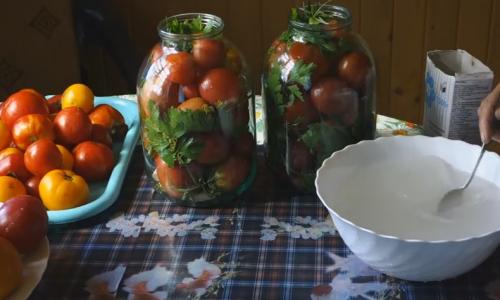 Можно ли добавить другие овощи в помидоры с чесноком при заготовке без уксуса. Как засолить помидоры на зиму в банках? Простой рецепт без уксуса