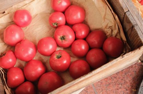 Как правильно хранить томаты, нарезанные на дольки в рассоле и томатном. Девять способов сохранить помидоры до наступления зимы: от правильного места до необычной заготовки