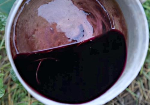 Как подготовить чеснок к посадке. Посадка чеснока на головку весной в открытый грунт