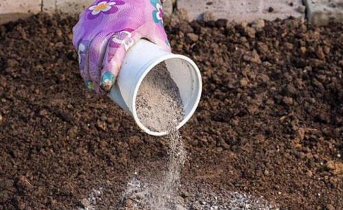 Посадка чеснока весной 2022 года.. Рекомендуемые сроки посадки