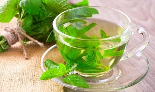 Когда сажать мелиссу в открытый грунт. Чудодейственная мелисса: особенности посадки и секреты ухода