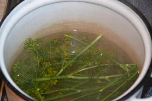 Угостили баночкой соленых груздей. Соленые грузди.