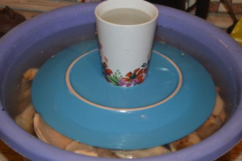 Угостили баночкой соленых груздей. Соленые грузди.