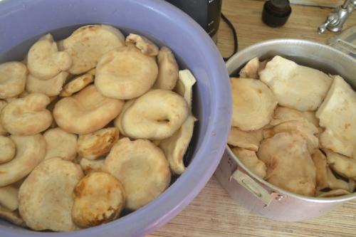 Угостили баночкой соленых груздей. Соленые грузди.