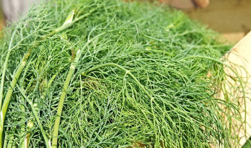 Какие напитки лучше всего сочетать с угощением баночкой соленых груздей. Как подавать соленые и маринованные грузди к столу