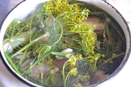 Угостили баночкой соленых груздей. Соленые грузди.