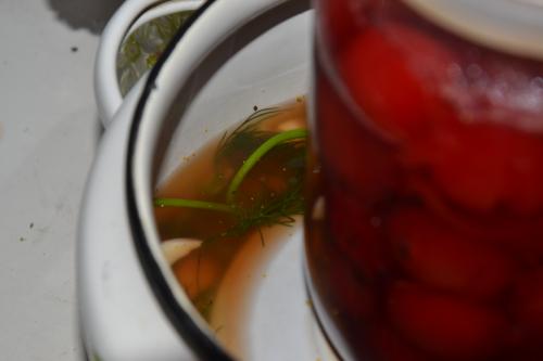 Угостили баночкой соленых груздей. Соленые грузди.