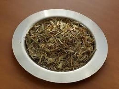 Мелисса сушка. Мелисса лимонная сушеная