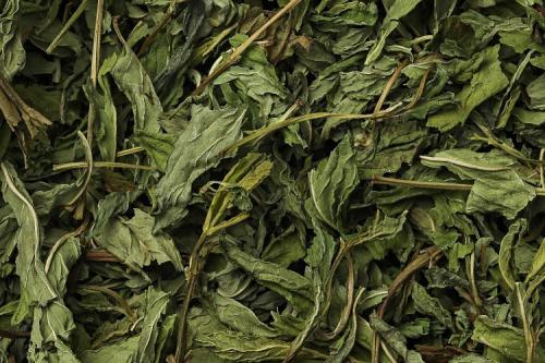 Как сушить мелиссу для чая на зиму. На свежем воздухе