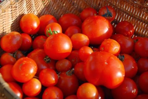 Помидоры дольками без специй и уксуса. Консервированные помидоры без специй