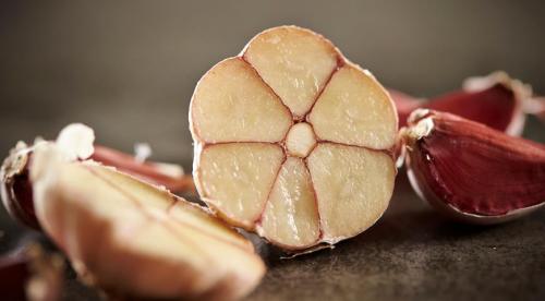 Почему чеснок желтеет при хранении. Пожелтение чеснока в мае-июне …, что делать? 09