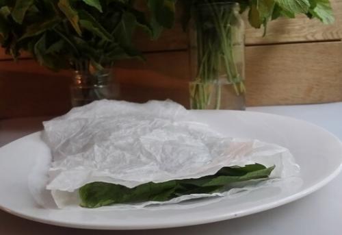 Как хранить мяту, чтобы она не завяла. Способ #2 В бумажном полотенце в полиэтиленовом пакете