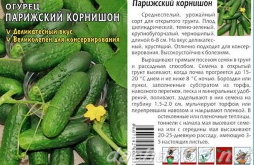 Характеристика огурцов сорта засолочный. Лучшие засолочные сорта