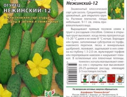 Характеристика огурцов сорта засолочный. Лучшие засолочные сорта