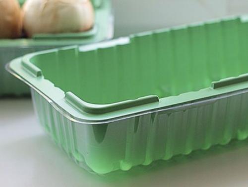 Как посадить мелиссу дома из семян. Что понадобится для выращивания мелиссы