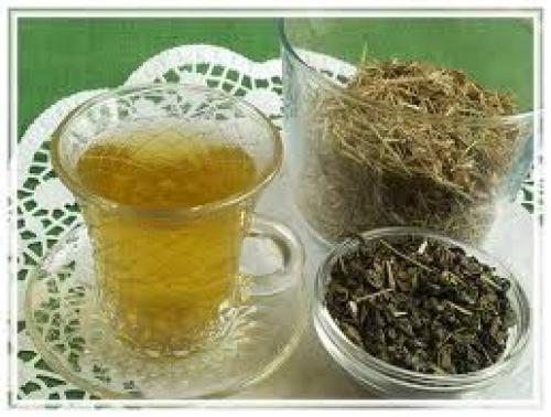 Мелисса сушка. Мелисса лимонная сушеная