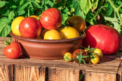 Влияет ли отсутствие уксуса на вкус помидоров. От чего зависит вкус томатов