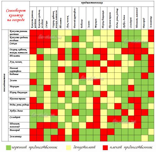 Что после чего можно сажать - таблица. Что после чего сажать