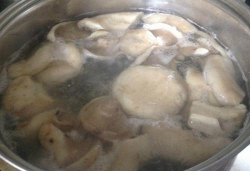 Какие методы лечения горячек у грузди существуют. Как убрать горечь?