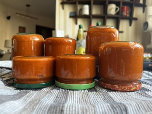 Можно ли использовать разные виды помидоров для этого рецепта. Если у вас много помидоров