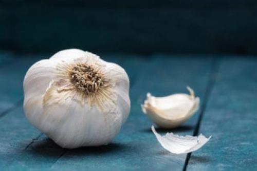 Можно ли сажать магазинный чеснок весной. Will Supermarket Garlic Grow: Growing Garlic From The Grocery Store