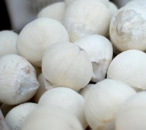 Фрукт похожий на киви только белый. 24 фрукта которые стоит попробовать. Фрукты и овощи Таиланда.